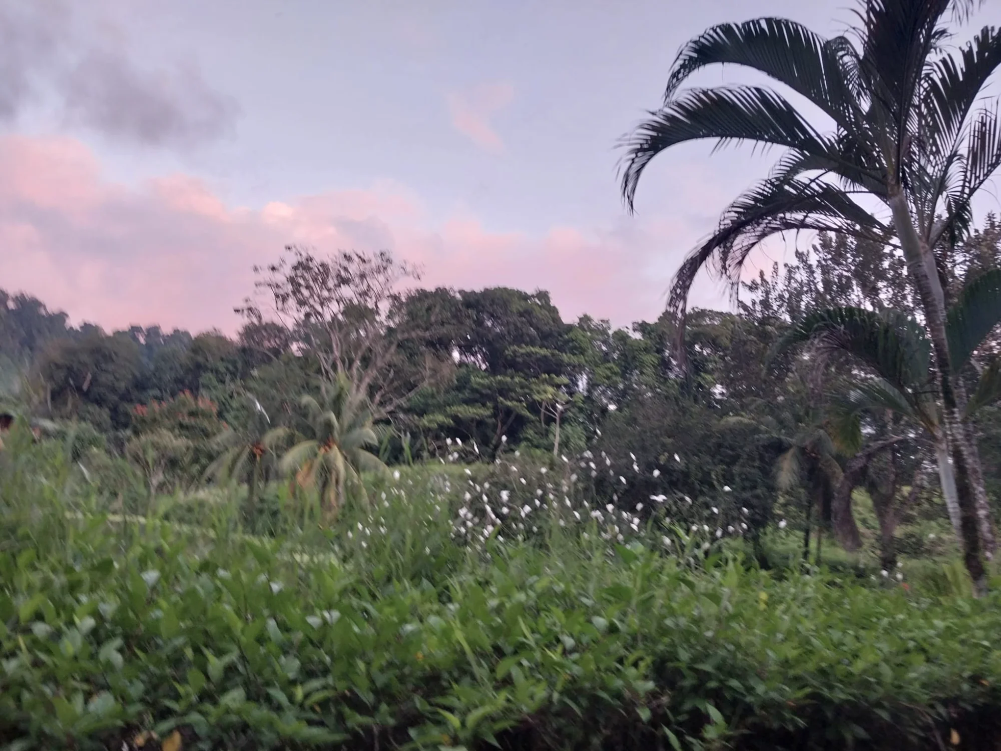 The Sanctuary Community